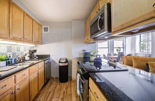 Printers Row Apartment | Downtown Penthouse #5 | Vintage +gym & balcony