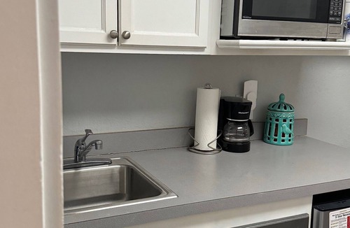 Downtown Orlando Apartment | Downtown Private Efficiency Lake Eola Central Business District