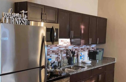 Detroit Apartment | Downtown Spacious Industrial 420 friendly Loft Apt with free parking on street