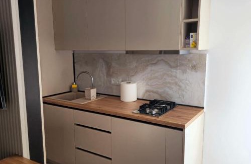 Ramnicu Valcea Apartment | Downtown Studio