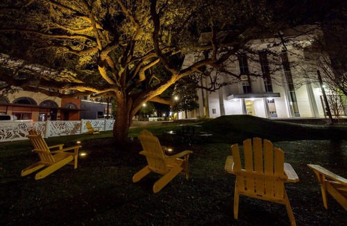 Laurel Apartment | Downtown, Walkable Shops & Restaurants, Melody#3