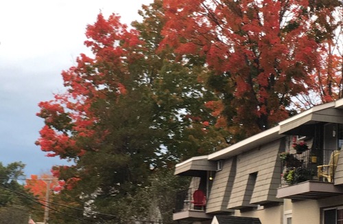Westborough Condo | Downtown Westborough one bedroom condo with treetop views and private parking