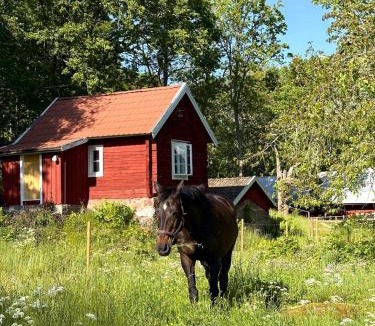 Osterbymo House | Drängstugan - Tiny House