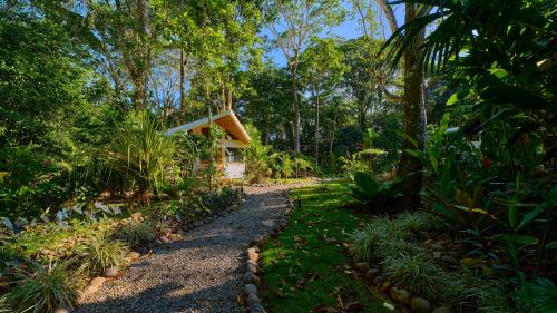 Chiguata Resort | Dragonfly Beachfront Villas-Adult Only