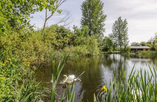 Frankton Cottage | Dragonfly