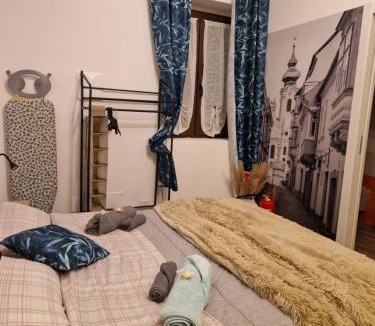 Busto Arsizio Apartment | Dream & Fly Apartment