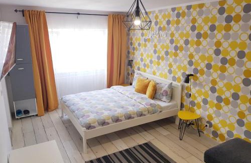 Petrosani Apartment | Dream Studio 2 Petrosani