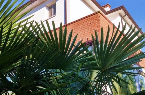 Dese Apartment | Dream Venice Airport