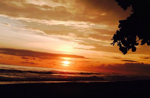 Playa Matapalo Bed & Breakfast | Dreamy Contentment