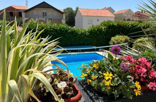 Ravno Apartment | DUBROVNIK - IVANICA: “SUNNYHILLS APARTMENTS” WITH POOL