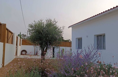 Troia House | Duck House