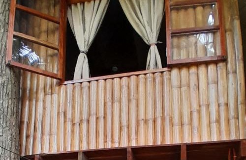 Dumaguete House | Dumaguete Oasis Treehouse, near airport and mall, beside Magsaysay Elementary School