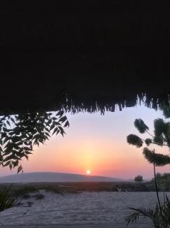 Jijoca de Jericoacoara Apartment | Dunas de Jeri