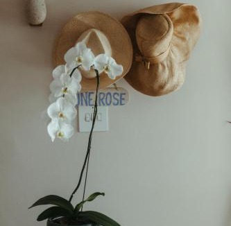 Yzerfontein House | Dune Rose Yzerfontein Villa