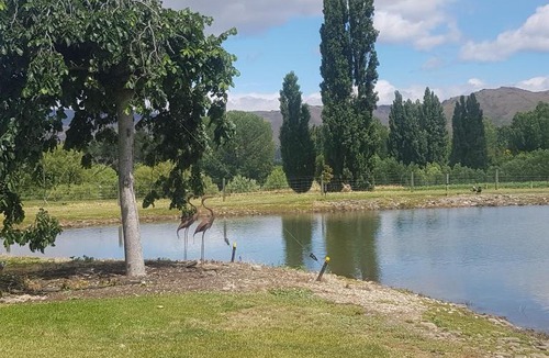 Alexandra Bed & Breakfast | Dunstan Road B&B