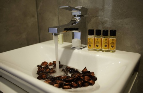 Galata Hotel | Duo Galata
