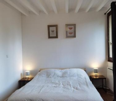 Quartier Saint-Clement - Jardin des Plantes Apartment | Duplex 2 - Proche du Jardin des Plantes