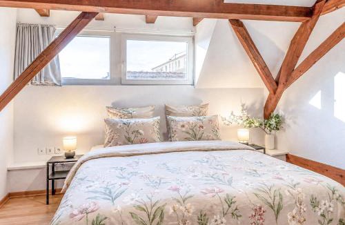 Marlenheim Apartment | Duplex 80m2 AC I Balcon Parking I Route des Vins