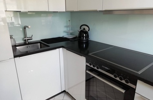 Loschwitz Apartment | Duplex apartment over 2 levels with roof terrace near the Elbe in Dresden-Blasewitz