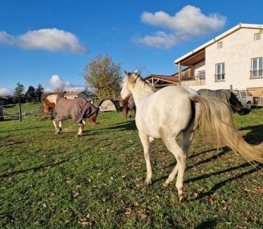 Saint-Maurice-sur-Dargoire House | Duplex calme, vue chevaux et montagnes