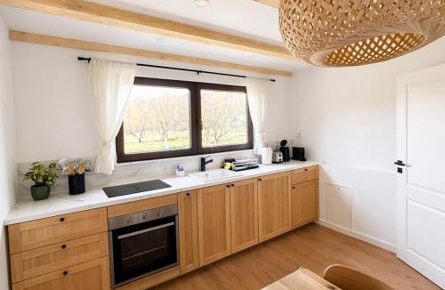 Borsa Apartment | Duplex Fulgu - Borsa Maramures