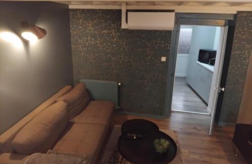 Centre Ville Apartment | Duplex Viennois