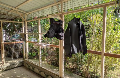 Koror Hotel | DW Motel