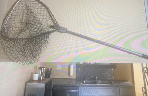 Eagle River Apartment | Eagle River apartment in house. Pets allowed. No breed restrictions