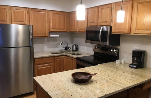 Mount Crested Butte Condo | Eagle's Nest Condo | 3 Bedroom | Shared Hot Tub | Free Shuttle to Ski Area