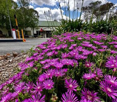 Sutton Resort | Eaglehawk Park Canberra