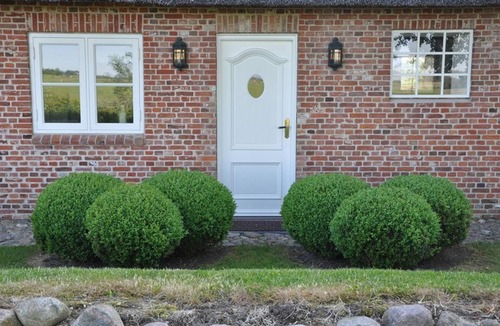 Poppenbull House | Easter dike Molehill - Thatched semi-detached house Molehill