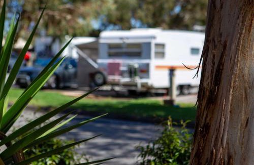 Windsor Gardens Resort | Echo Holiday Parks - Windsor Gardens