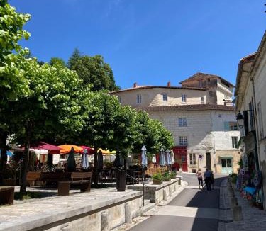 Aubeterre-sur-Dronne Apartment | Echoppe Ancienne Boutique de cordonnier avec jardin privé