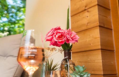 Kinheim Apartment | Echternacher Hof - Moselloft