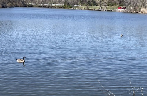 Carbondale RV Rental | Eclipse Campsites Available. Waterfront views