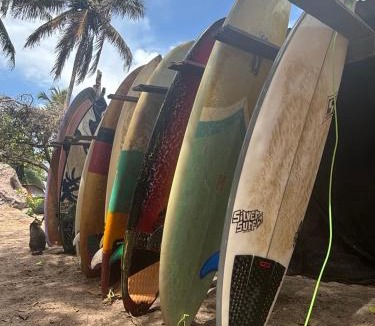 Pipa Other | Eco Camping Surf
