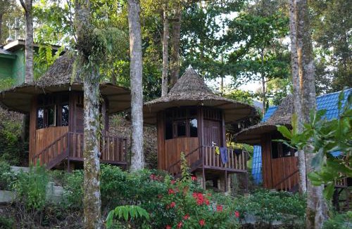 Bohorok Other | Eco Conservation Landak Luxury Tents