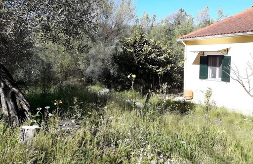 Petaleia Villa | Eco-Friendly Orchard House in Corfu: Wellness Retreat Near Beaches