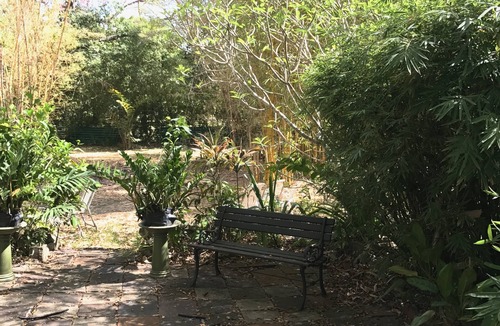 Two Mile Hill Apartment | ECO FRIENDLY QUAINT PALMETTO Studio