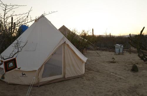 La Paz Other | Eco Glamping Biosfera - Bahia Turquesa