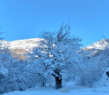 Abetone Apartment | Eco Home - Val di Luce