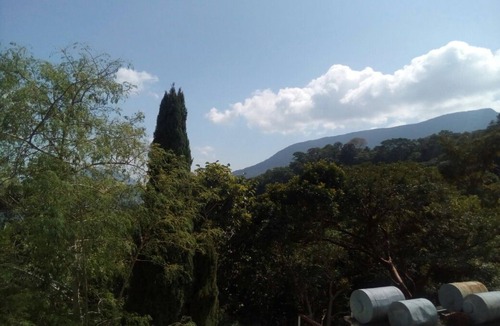 Pluma Hidalgo Hotel | Eco Hotel El Refugio, In the mountains but close to the sea. - ROOM 11