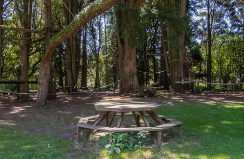 Burgess Park Cabin | Eco Lodge Near New Plymouth Adventure