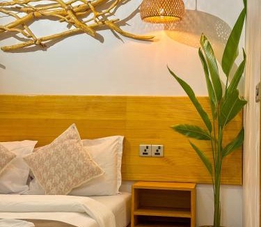 Mathiveri House | Eco Palm Mathiveri - Guest House with Complimentary Shared Kitchen & Laundry