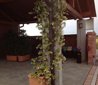 Casale Monferrato Apartment | Eco-Residence