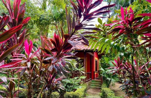 Portalon Bed & Breakfast | Eco Zaru, Experience Authentic Costa Rican Jungle & Ocean Bliss
