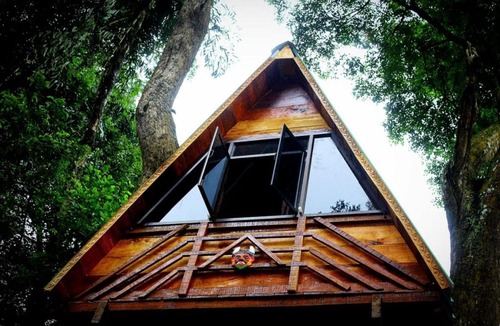 Virarajendrapet Bed & Breakfast | Econest treehouse