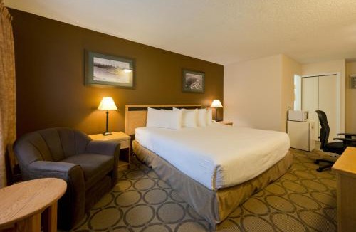 Prince George Cabin | Econo Lodge