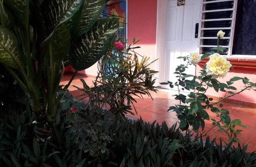 Jaco Hotel | ECONOMIQUE