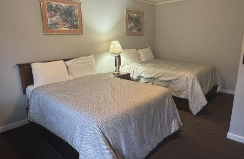 Alfred Station Hotel | Economy Inn